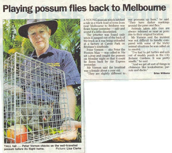 About Possum Man