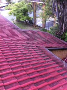 Gutter Cleaning Service Brisbane