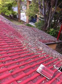 Gutter Cleaning Service Brisbane