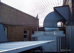 Bird Netting Over Roof Brisbane