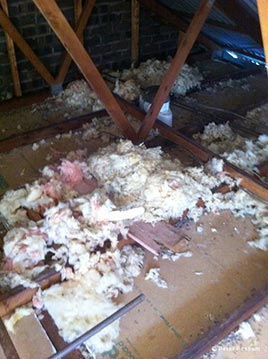 Insulation Removal Brisbane