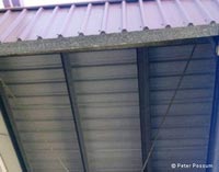 Bird netting that we have installed Bird netting that we have installed