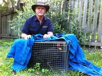 Brush turkey caught about to be relocated