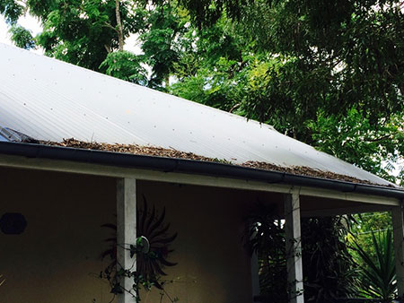 Gutter Cleaning Needed Gutter Cleaning Needed