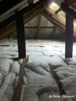 Insulation In the Roof