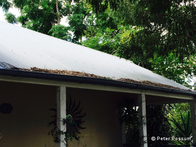 Commercial Gutter Cleaning Commercial Gutter Cleaning