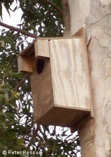 Possum Boxes