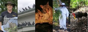 Peter the Possum & Bird Man - Brisbane